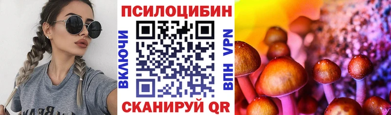 Галлюциногенные грибы Magic Shrooms МЕГА ссылка Майкоп